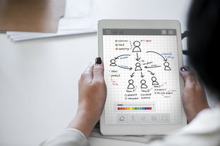 AIYOUXI.COM-中国篮球教练员战术分析能力提升及数据应用研究,篮球教练技能展示