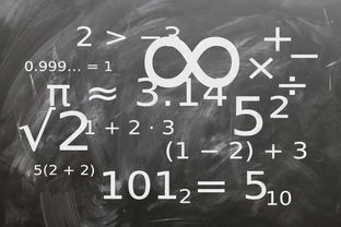 爱游戏大厅-中小学体育课程教学内容优化研究,中小学体育教学内容的衔接研究