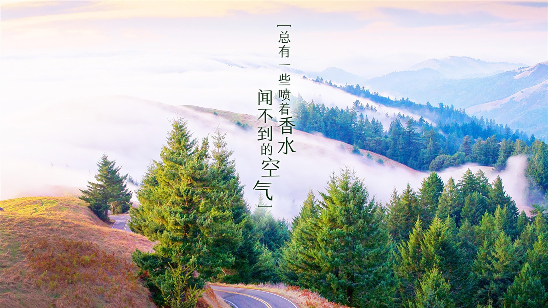 爱游戏体育账号注册-国足技战术细节落实能力评分，国足的战术