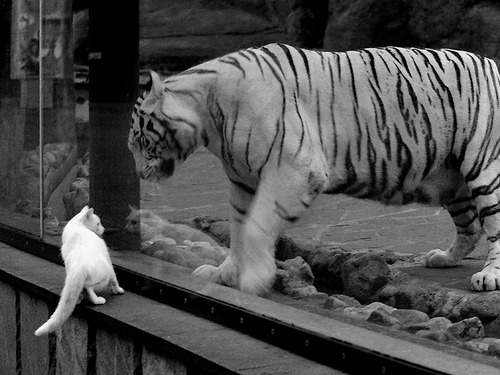 爱游戏登录-国际热身赛U23国足逆袭 球迷情绪振奋，国足热身赛30万